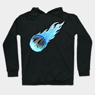 cartoon comet Hoodie